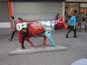 Cow, San Jose 